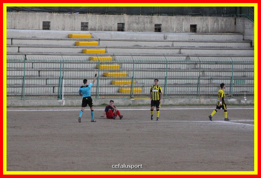 181111 Cepha_Milazzo 194_tn.JPG